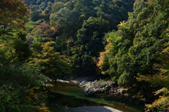 231102c西明寺02