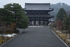 210112仁和寺42
