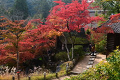 231123a石山寺33