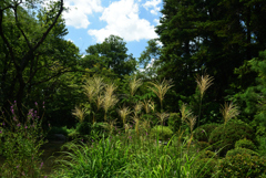 190826京都植物園41