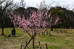220305a山田池公園37