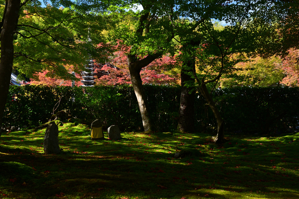 231114c化野念仏寺24