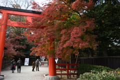 201201下鴨神社31