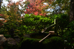 221116b妙心寺大法院29
