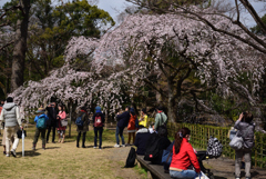 190324d京都御苑19