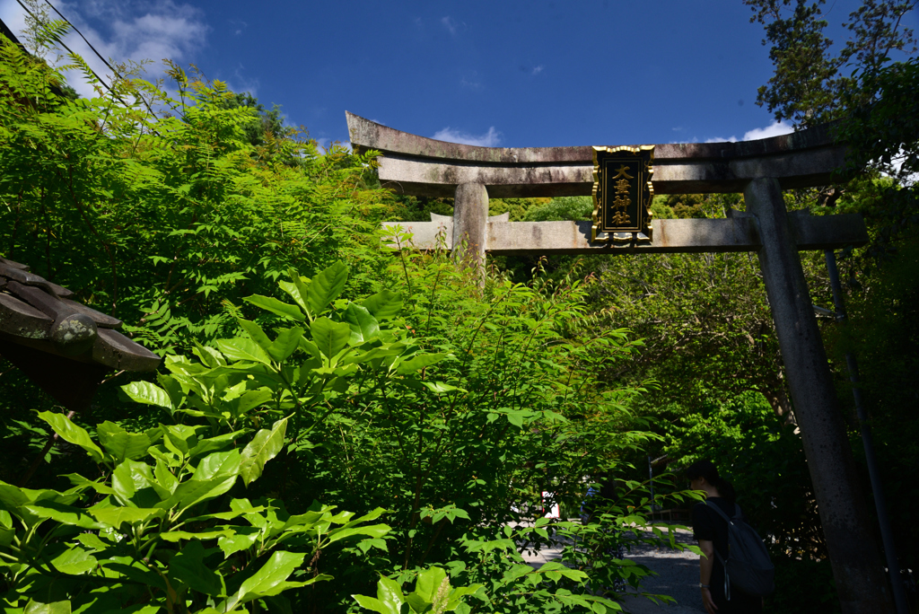 240521c大豊神社04