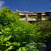 240521c大豊神社04
