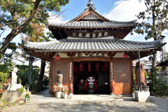 190205cだるま寺51