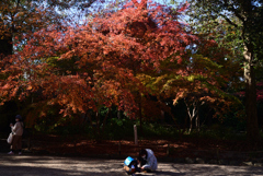 211209下鴨神社34