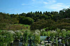 241006梅小路公園11