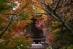 181114b談山神社38