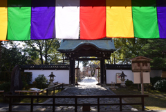 250107智積院32