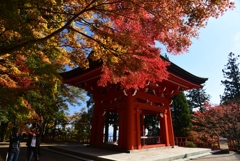 181107b延暦寺06