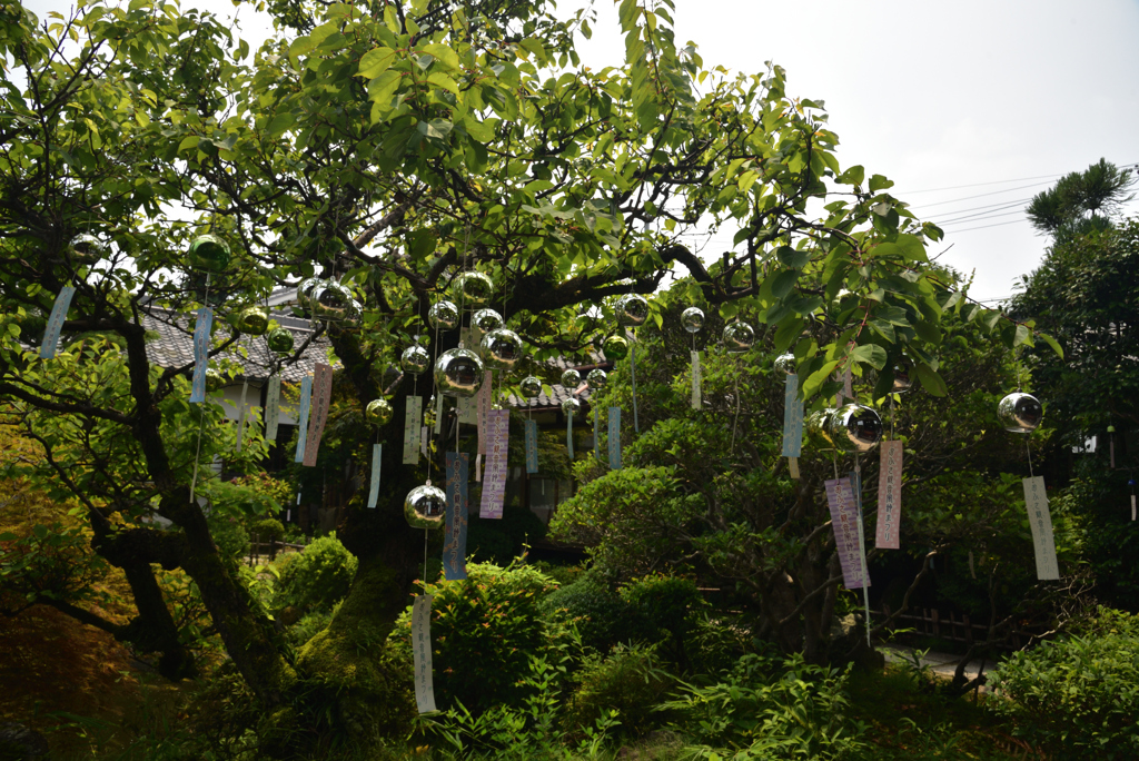 190728cおふさ観音30