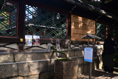 250103a御香宮神社07