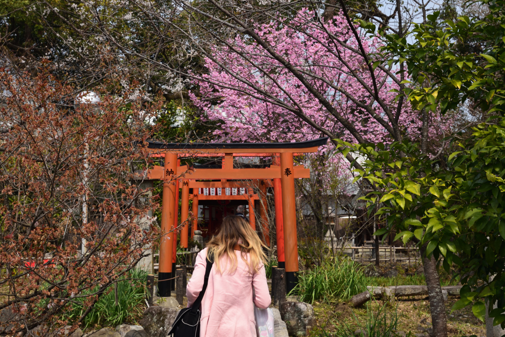190327c平野神社26