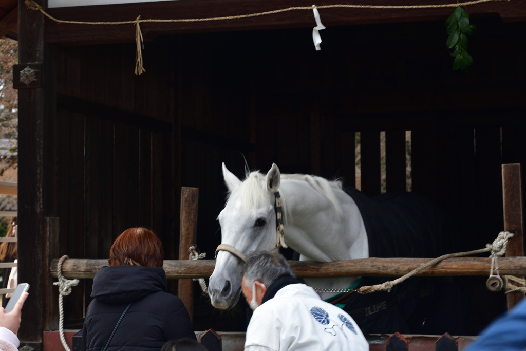 260102上賀茂神社02
