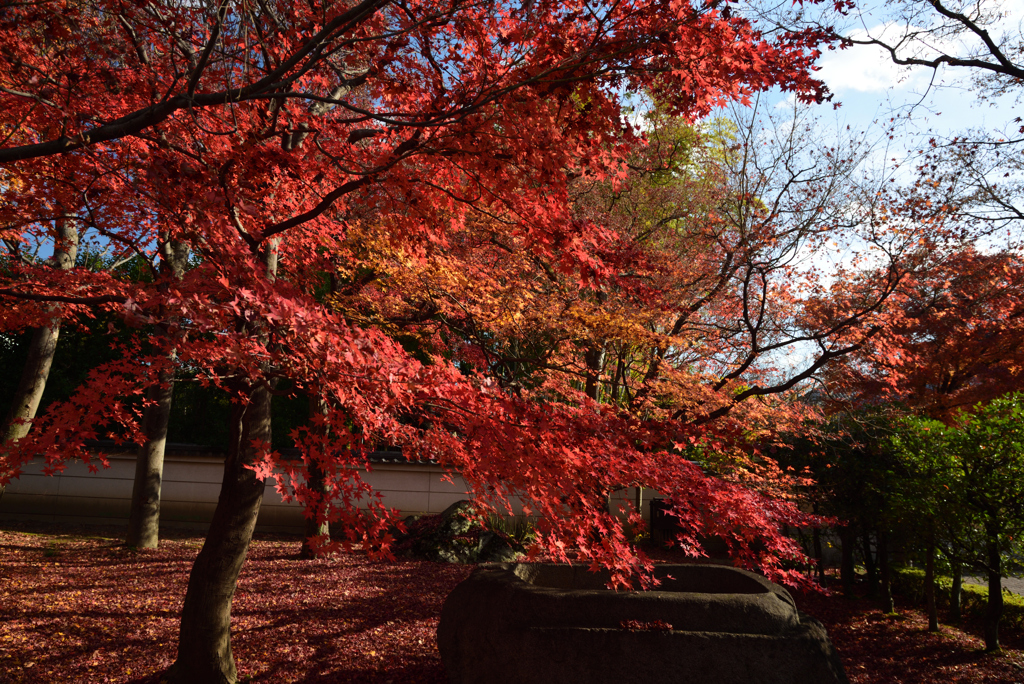 191204a相国寺10
