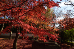 191204a相国寺10