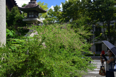 210905i梨木神社14