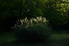 211015万博公園58