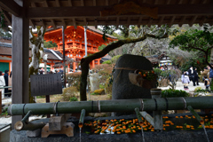 260102上賀茂神社09