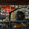 260102上賀茂神社09