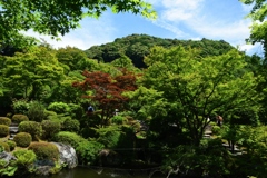 180614a三室戸寺12+