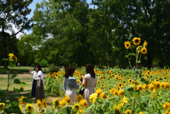 190812万博公園59