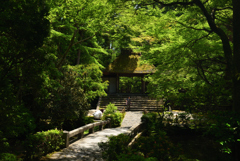 190601b法然院18