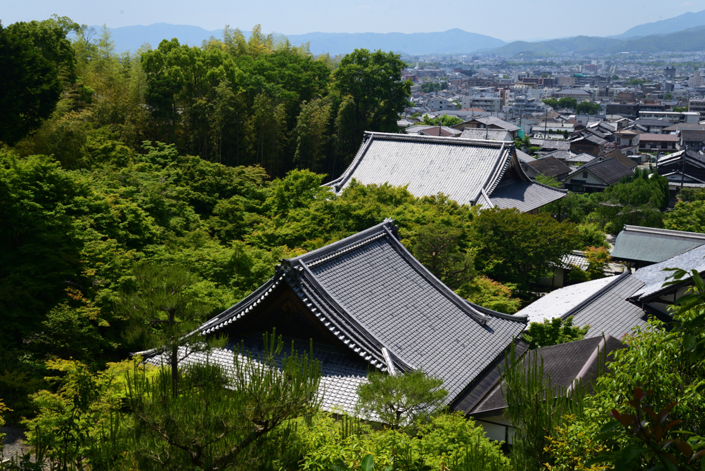 220524c圓光寺23