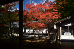 211103高野山27