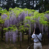 210424b萬葉植物園66