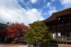 191130a大覚寺07