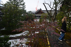 250110b禅居庵27