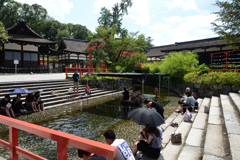 230819b下鴨神社51