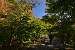 191028c智積院41