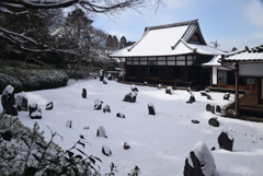 250208b光明院34
