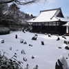250208b光明院34