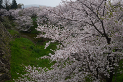 240406b郡山城23