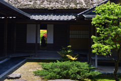 230502慈光院36