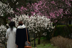 230226万博公園42