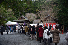 200106c大豊神社22