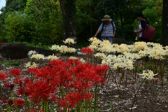 231003京都植物園47