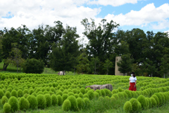 200810馬見丘陵公園38