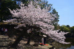 230401奈良公園09