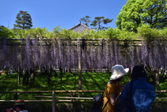 190504平等院25
