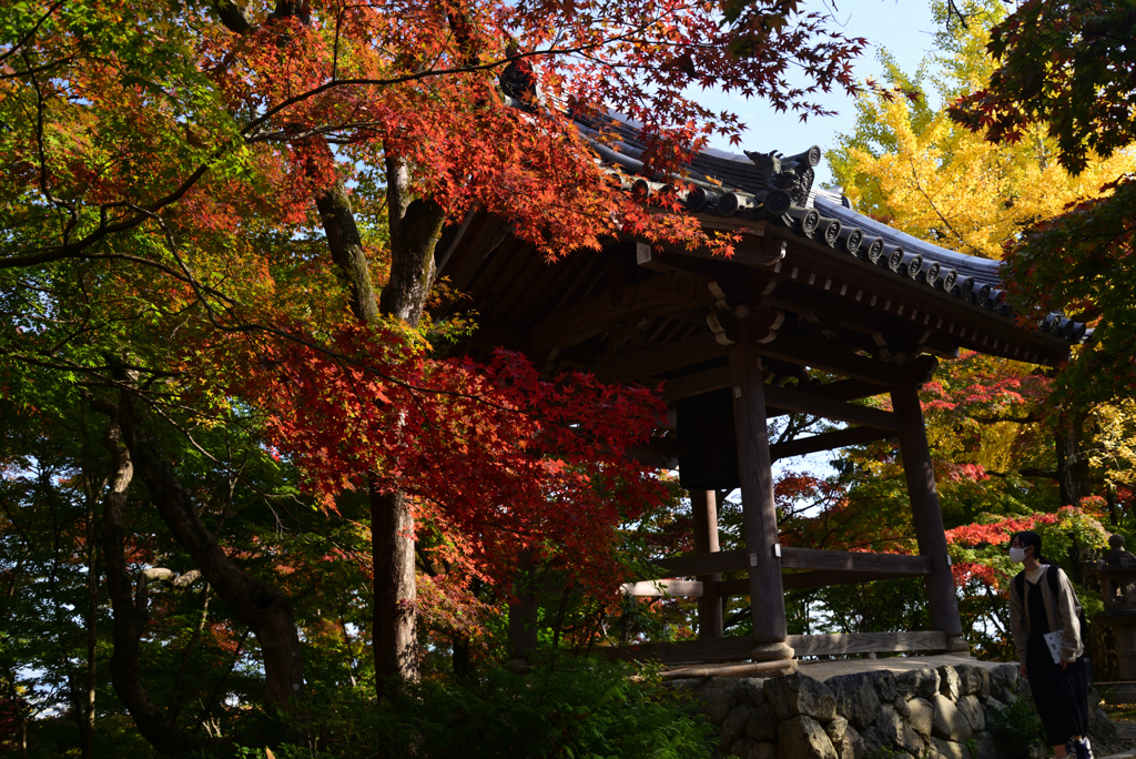 221111c常寂光寺30