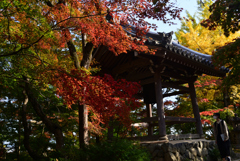 221111c常寂光寺30