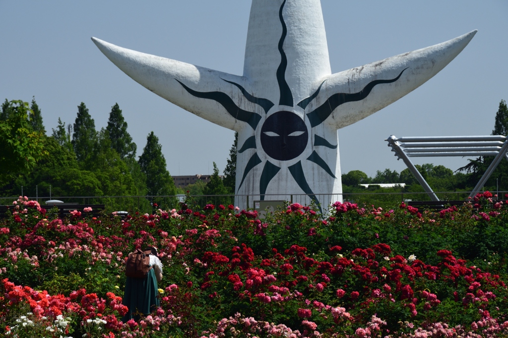 180525万博公園57+